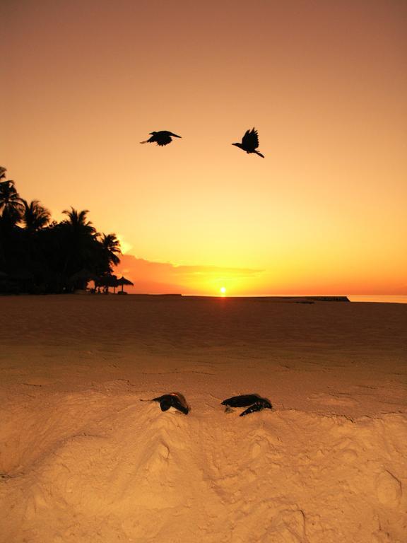 Blue World Dharavandhoo Exterior photo