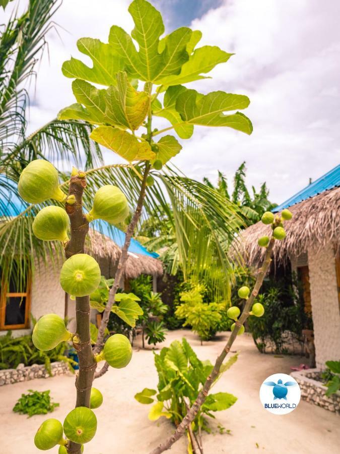 Blue World Dharavandhoo Exterior photo